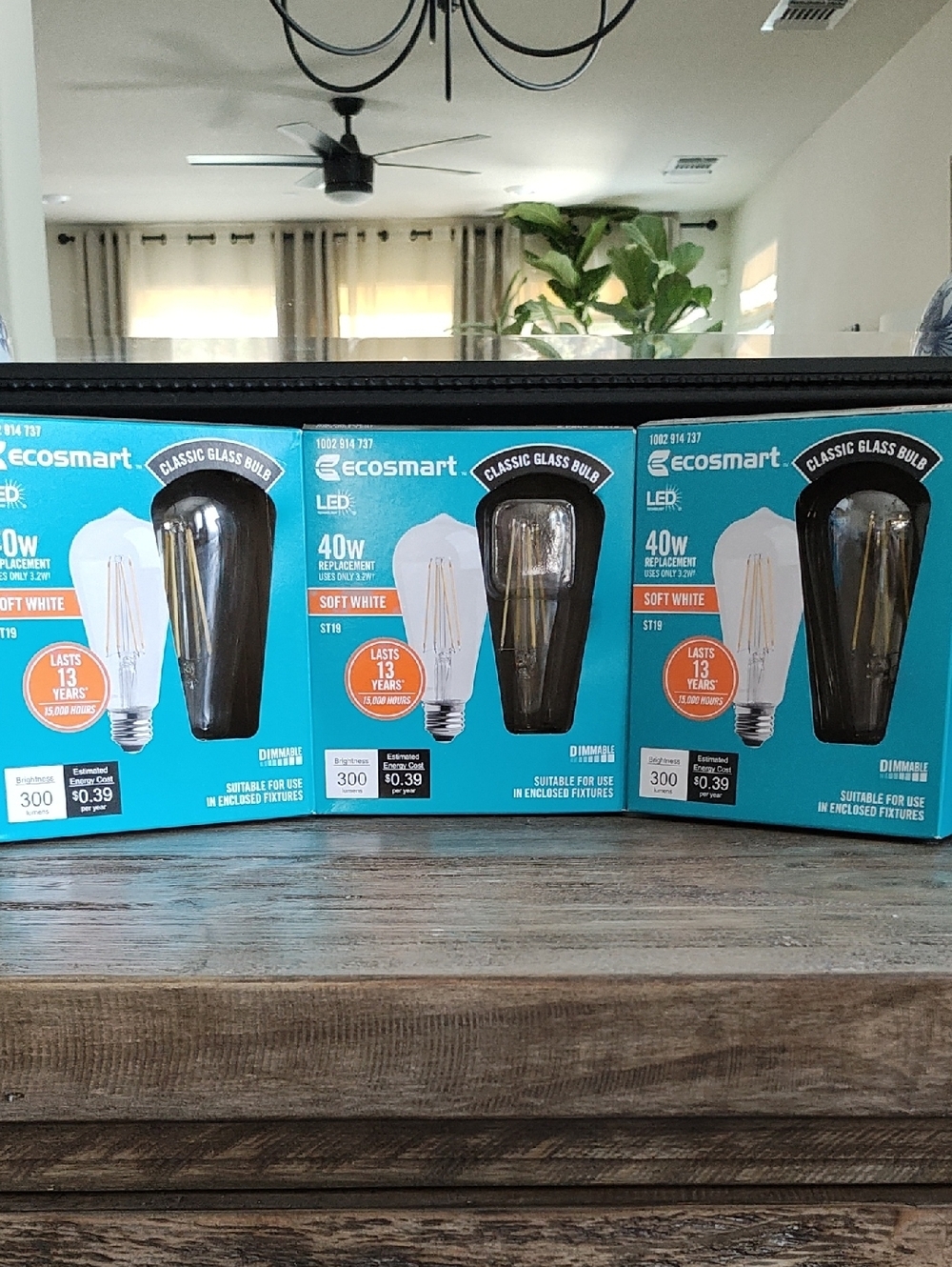 NEW ECOSMART LED BULB SET OF 6